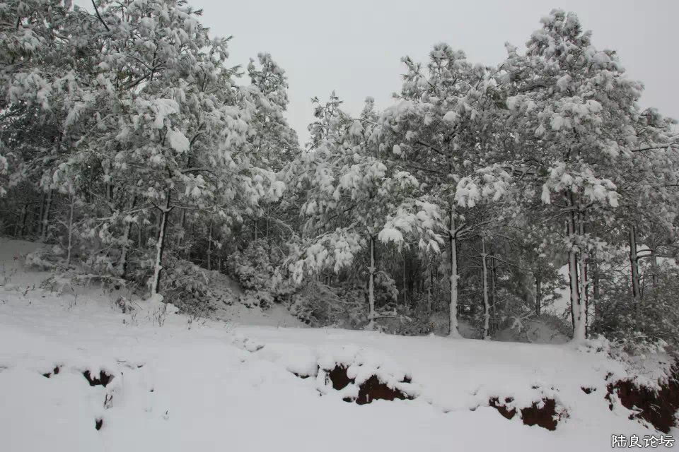 psb (21) - ����.jpg