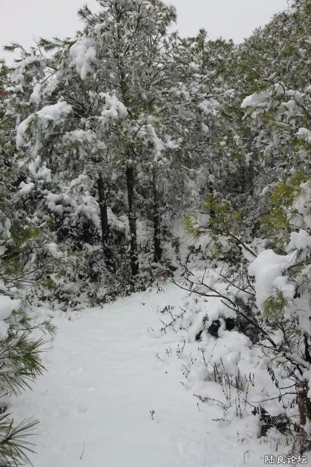 psb (25) - ����.jpg