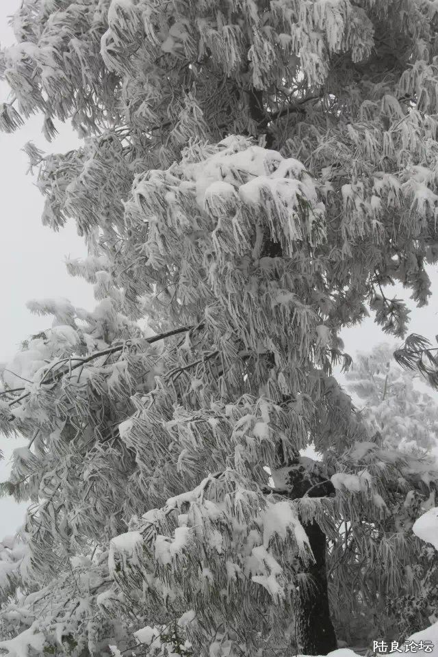 psb (27) - ����.jpg