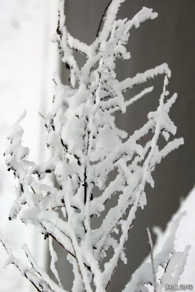 psb (29) - ����.jpg