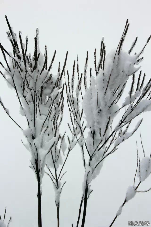 psb (31) - ����.jpg