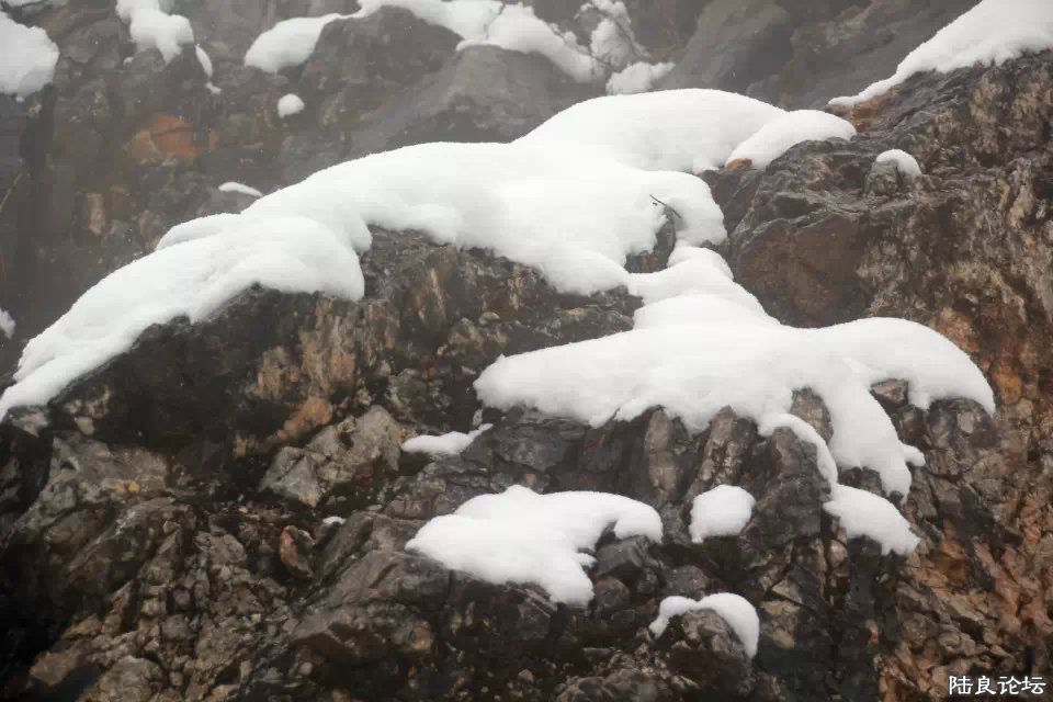 psb (33) - ����.jpg