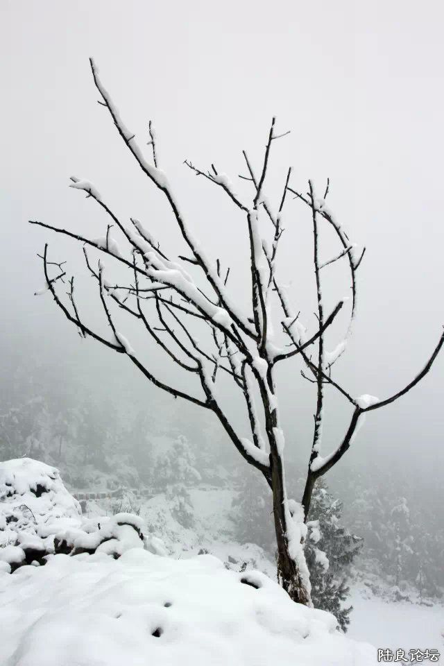 psb (35) - ����.jpg