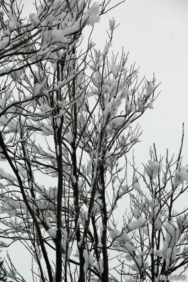 psb (37) - ����.jpg