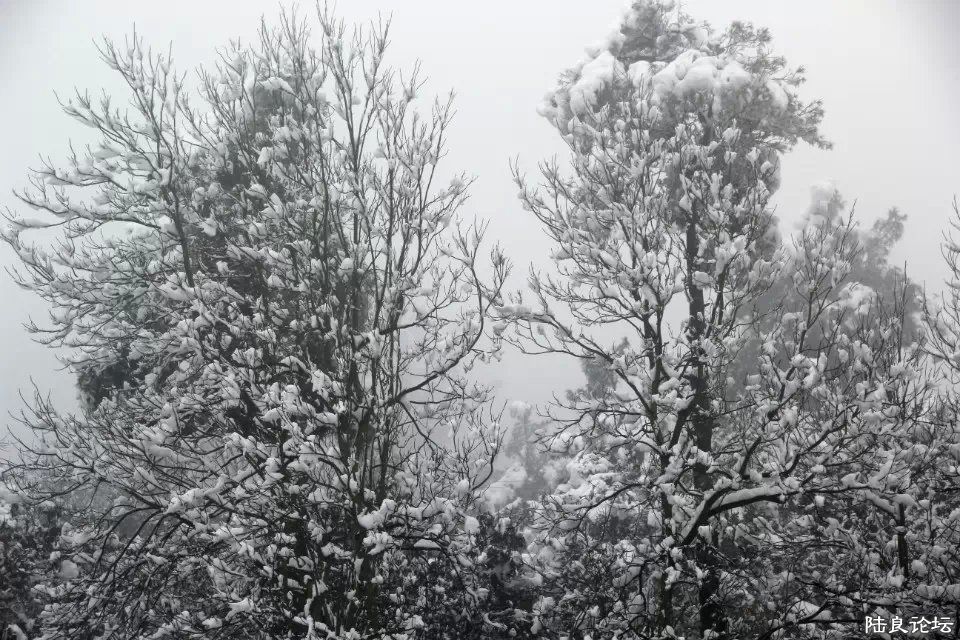 psb (41) - ����.jpg