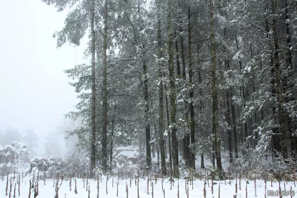 psb (43) - ����.jpg