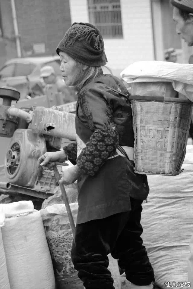 �ϼ�����