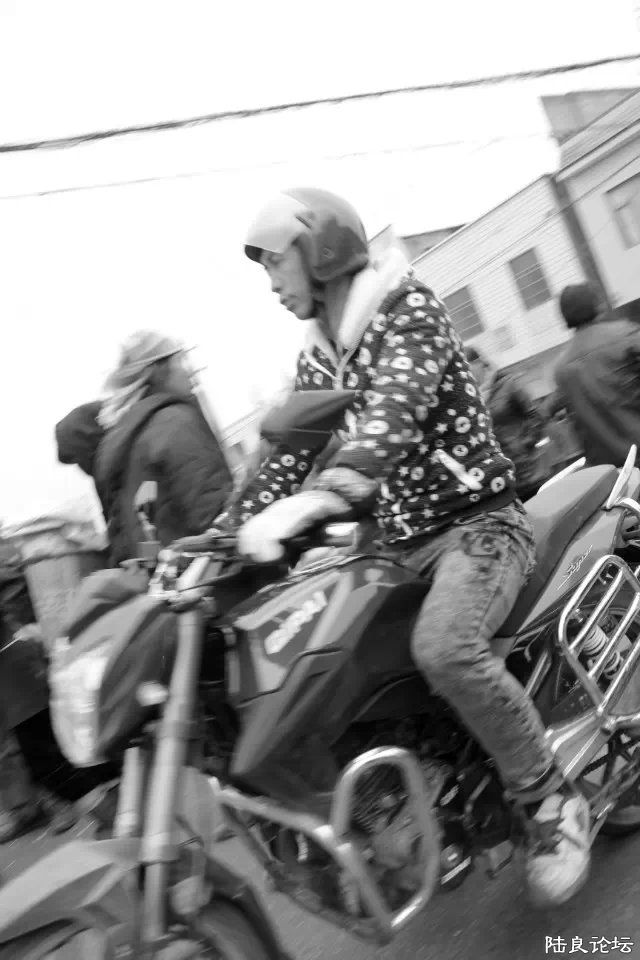 �ϼ���������