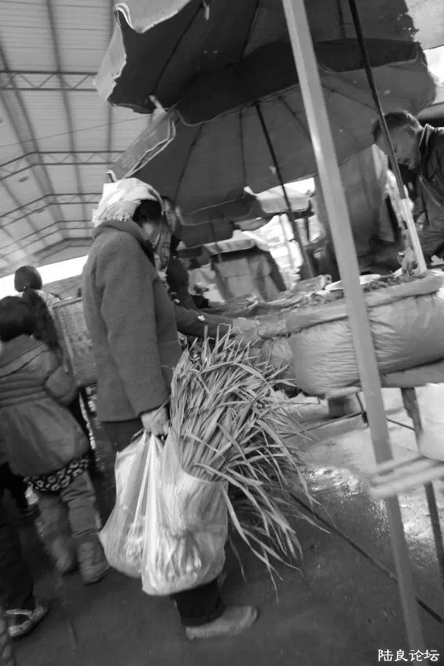 �������ʵĲ�