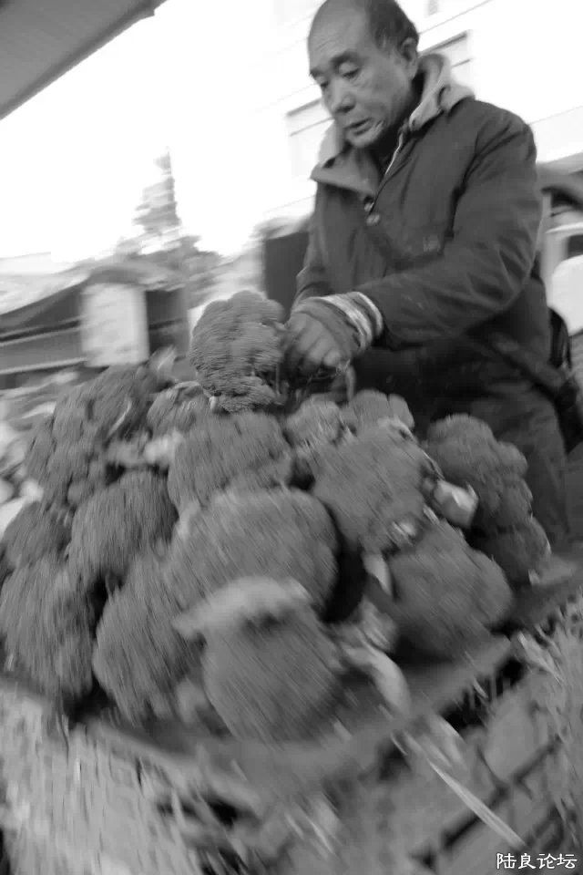 ���˵��ϰ�