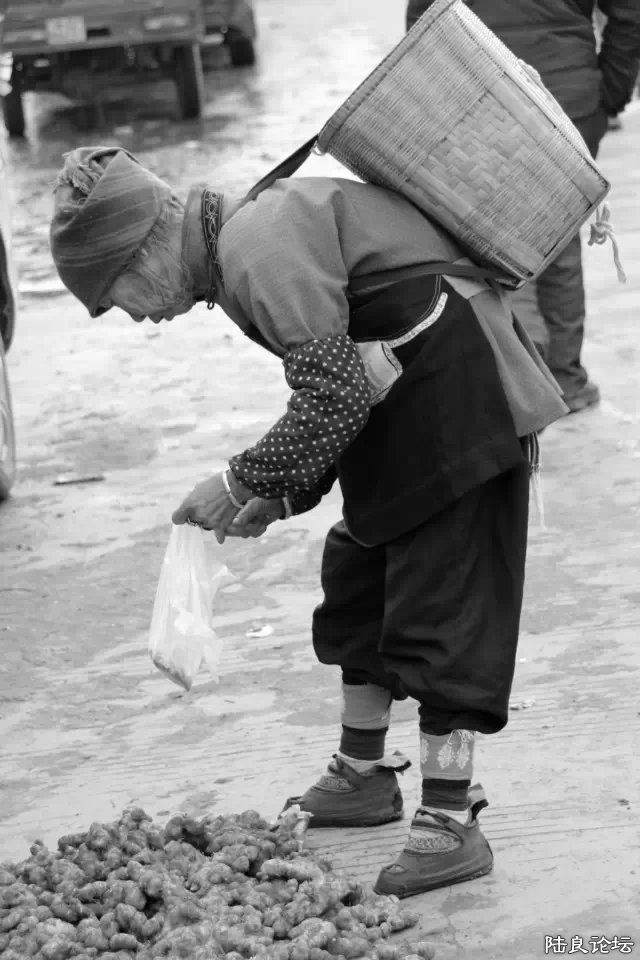 �ϼ���������