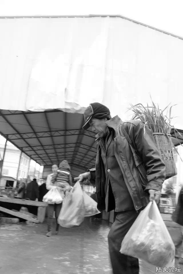 �ϼ�����