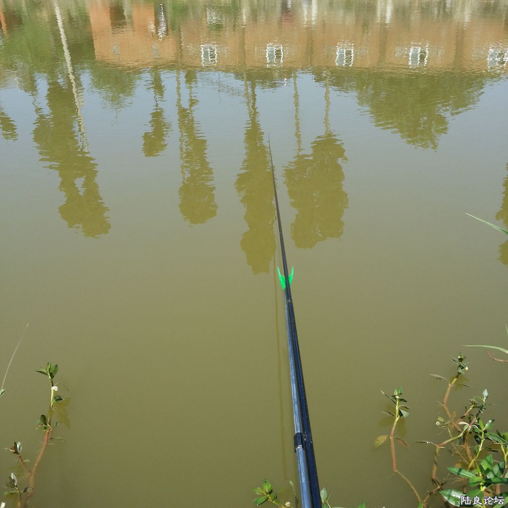 �ϼѺڷ��𣬲���������