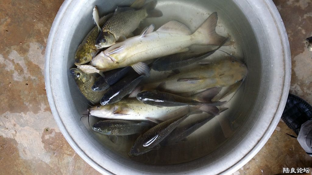 �ջ�����ʮ���