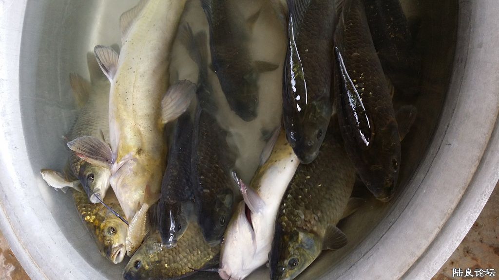 �ջ�����ʮ���