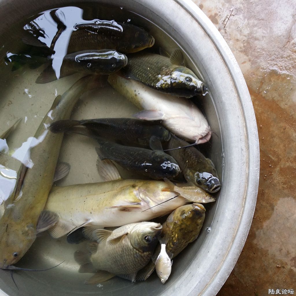 �ջ�����ʮ���