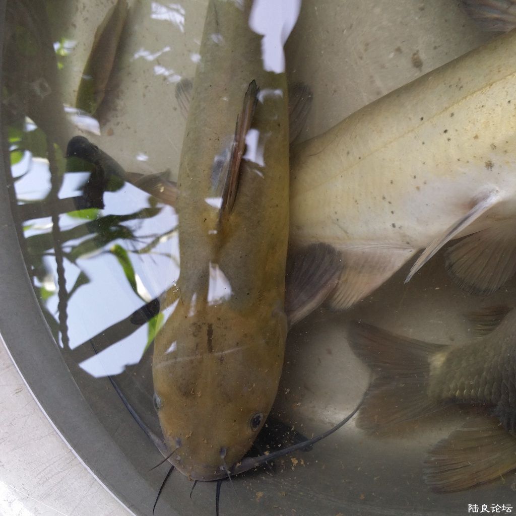 ������д