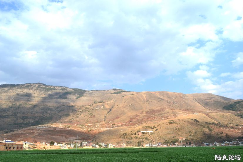 Ρ�������ɽ