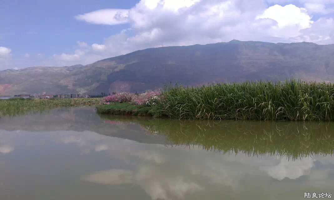 ��Ϫʪ�صĸ�ɣ��