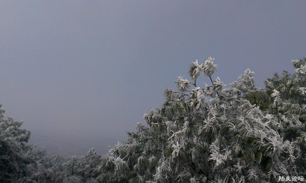 ½���Ķ�����ʱ��Ҳ����