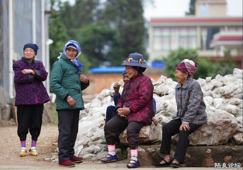 ���� (3).jpg