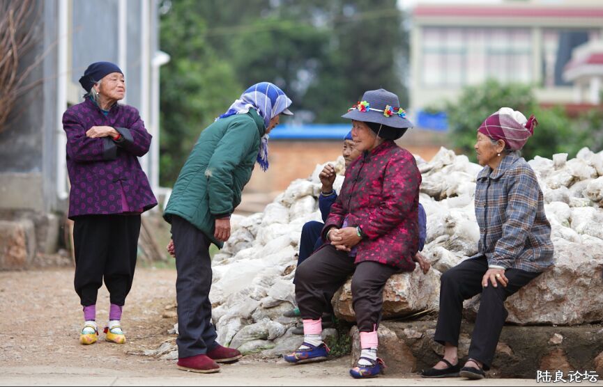 ���� (2).jpg