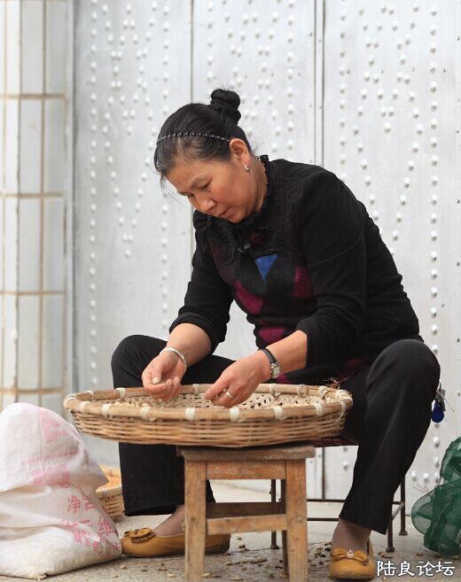 ���� (7).jpg