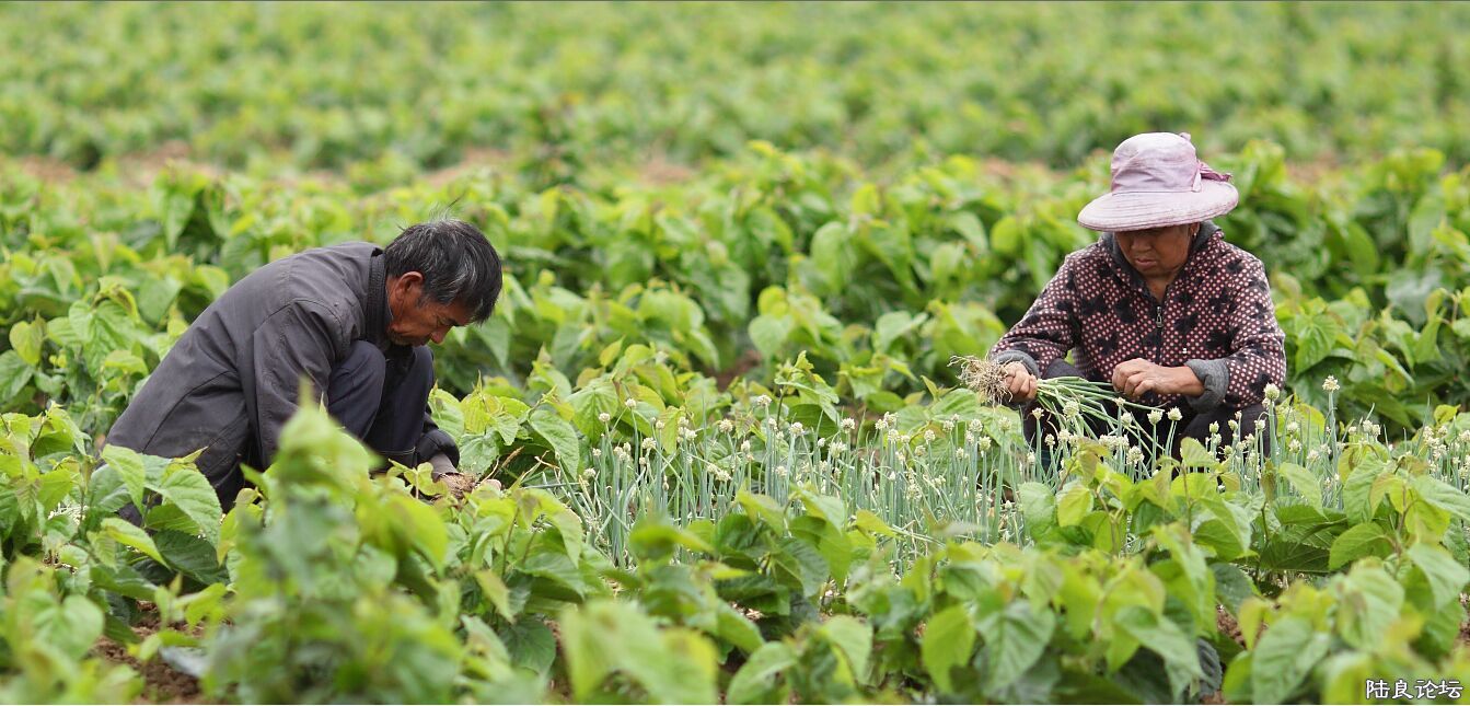 ���� (10).jpg