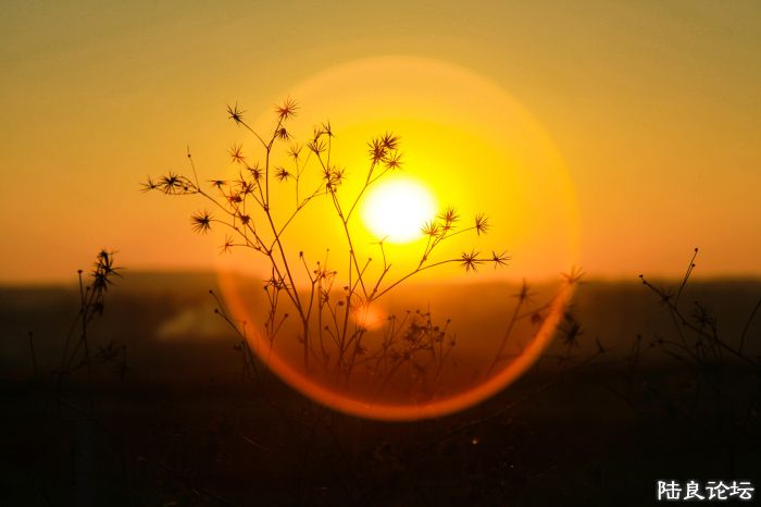 《日出�