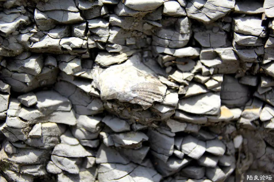 ɰ���еı��ǻ�ʯ