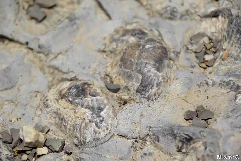 ���ǻ�ʯ��·--�ֲ�