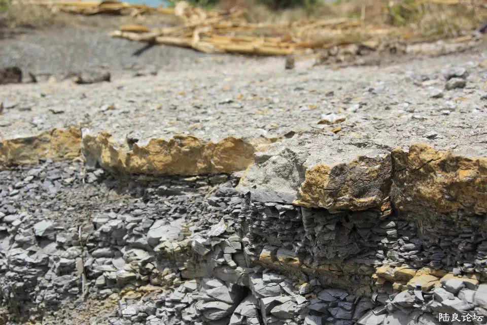 ���ǻ�ʯ��