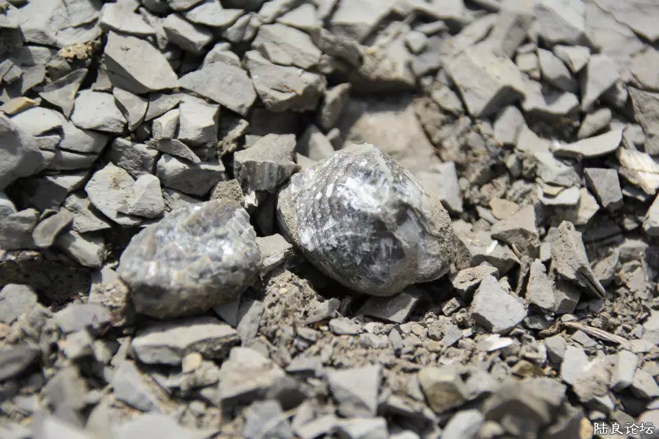 ɰ���еı��ǻ�ʯ