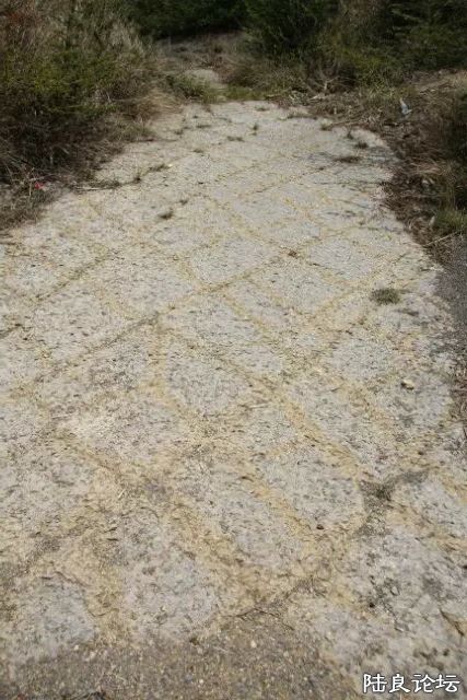 ƽ̹�ı��ǻ�ʯС��