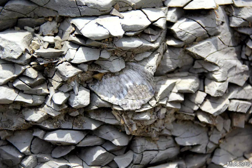 ɰ���еı��ǻ�ʯ