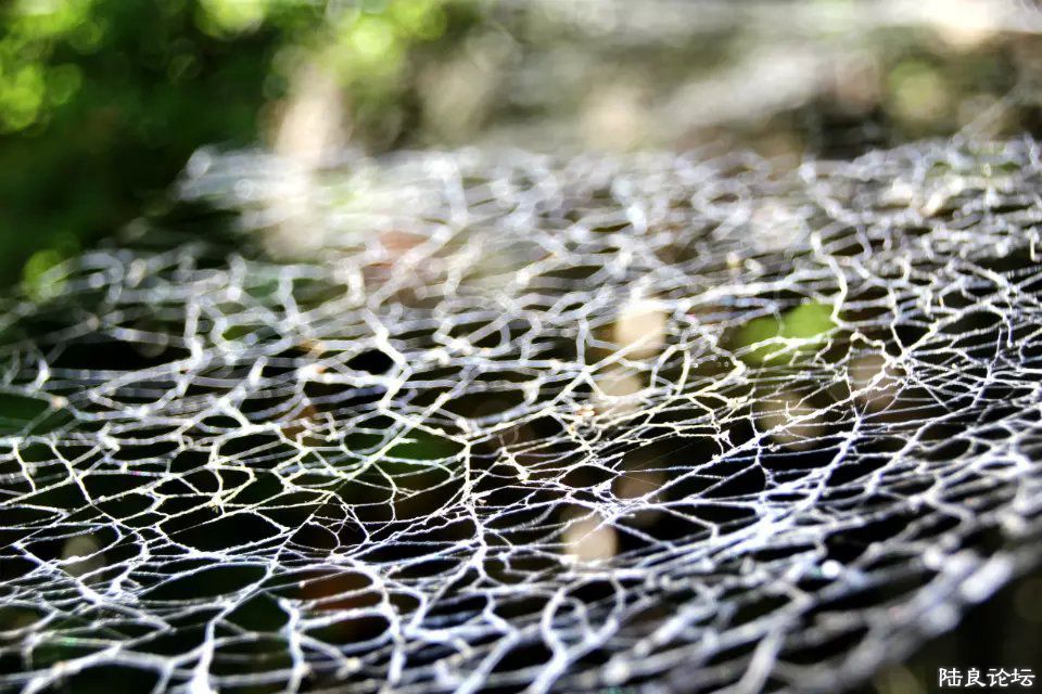 ��ȫ������