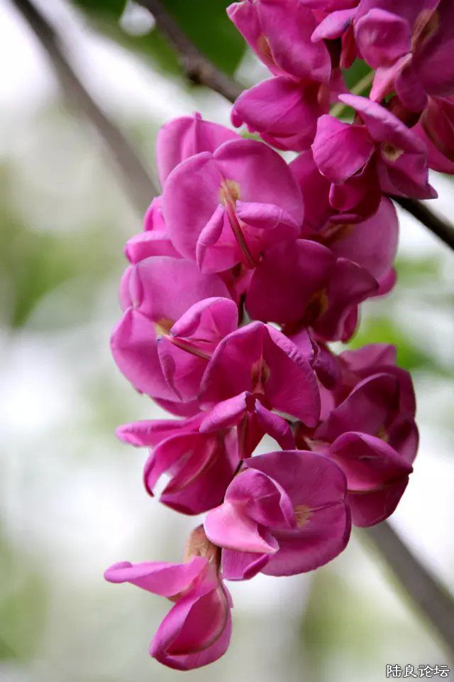 �ּ���һ���Ϻ�