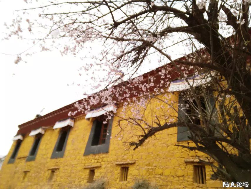 ������ɫ����