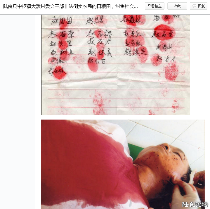 2013������¼�2