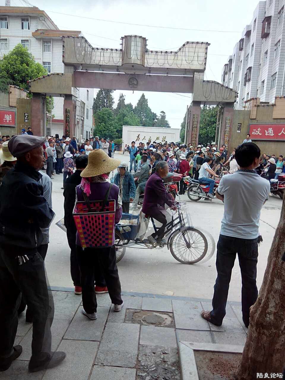 �����ſ�άȨ1