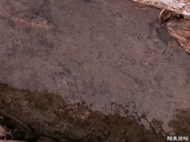 ����Ⱦ��Сˮ��