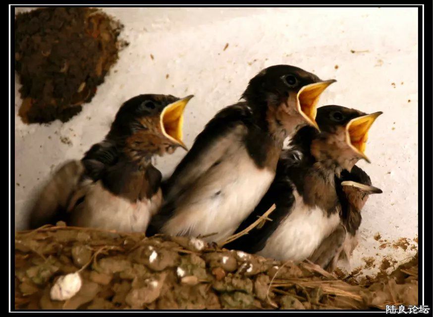 psb (1) - �?�� - �?�� - �?��.jpg