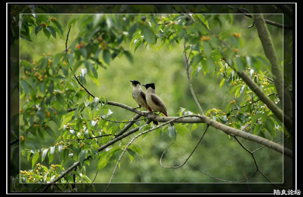 psb (4) - �?�� - �?�� - �?��.jpg