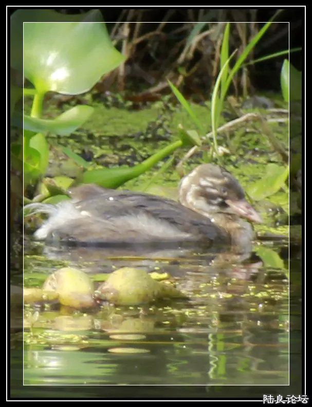 psb (7) - �?�� - �?�� - �?��.jpg