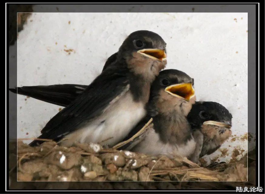 psb (27) - �?��.jpg