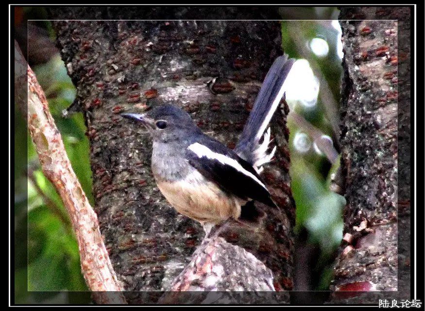 psb (30) - �?��.jpg