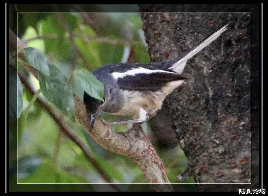 psb (33) - �?��.jpg