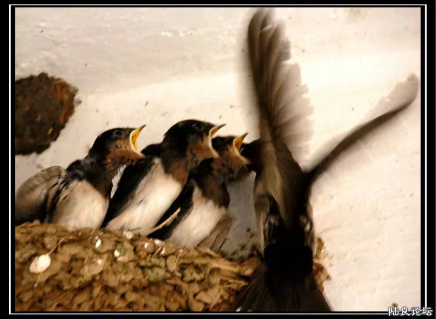 psb (2) - �?�� - �?�� - �?��.jpg