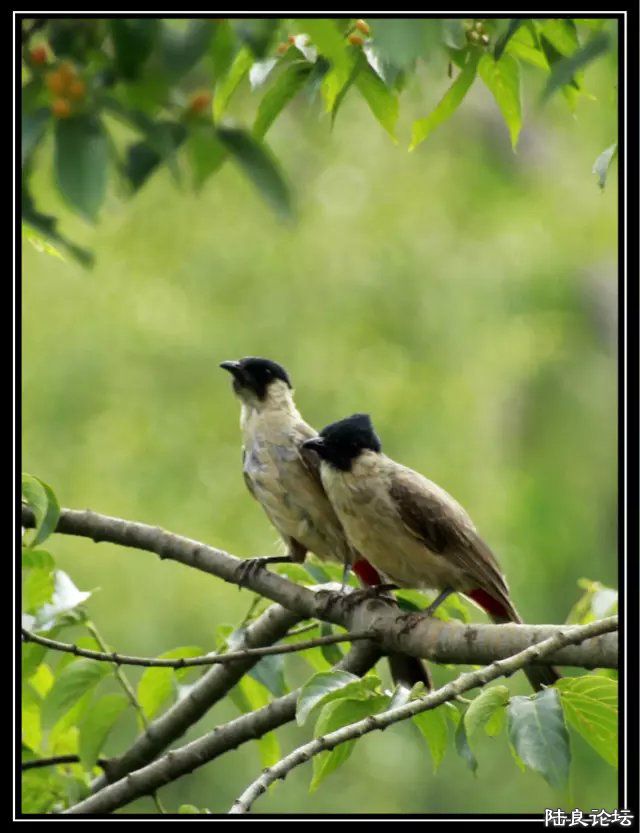 psb (5) - �?�� - �?�� - �?��.jpg