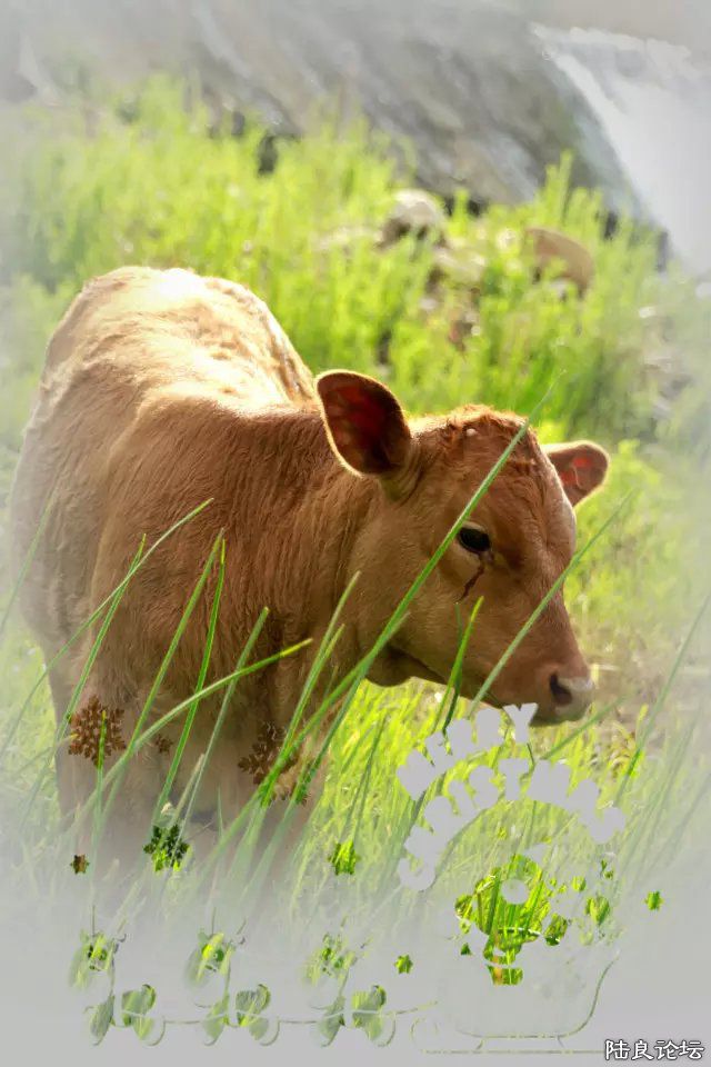 psb (16) - �?�� - �?��.jpg